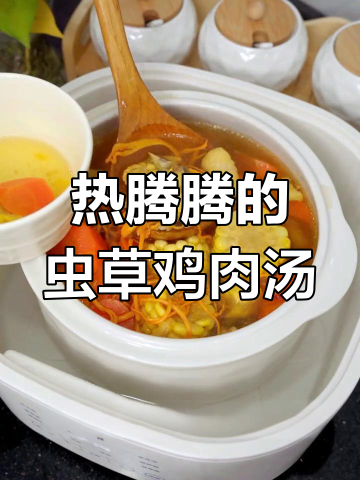 秋冬必备虫草鸡汤,温暖又滋补