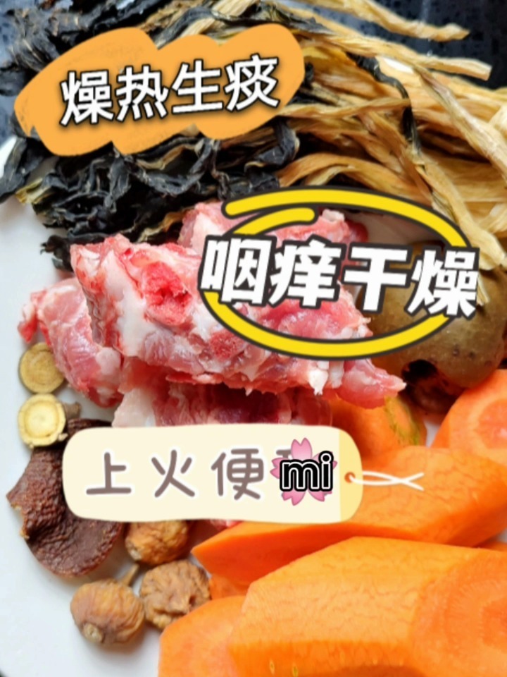 广东靓汤/秋冬润肺减咳汤