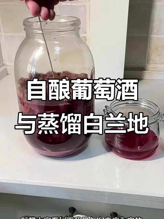 废葡萄皮变宝，自制白兰地与葡萄酒全攻略