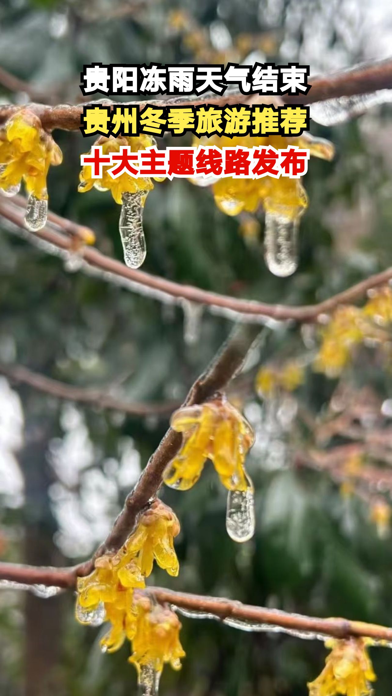 贵州冬季十大主题线路震撼发布,冰雪温泉民俗等你来体验