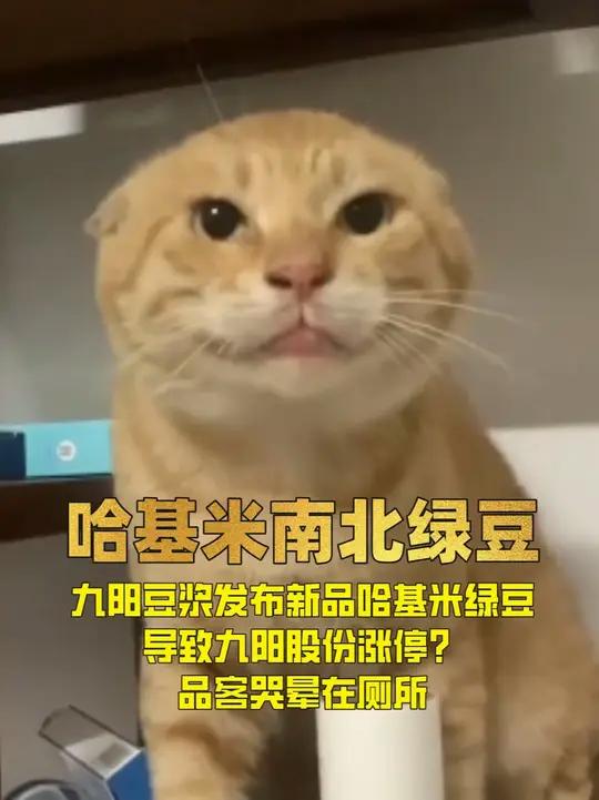 九阳豆浆发布新品哈基米绿豆，导致九阳股份涨停？品客哭晕在厕所 哈基米南北绿豆哈基米 圆头耄