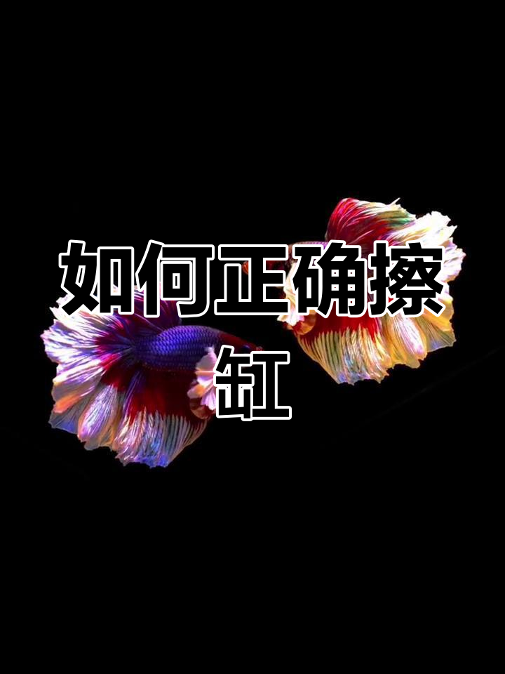 鱼缸藻类和菌膜清理技巧,避免错误做法