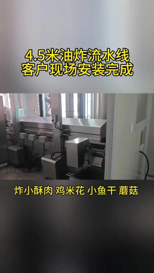 4.5米油炸线安装完成 现场实拍视频