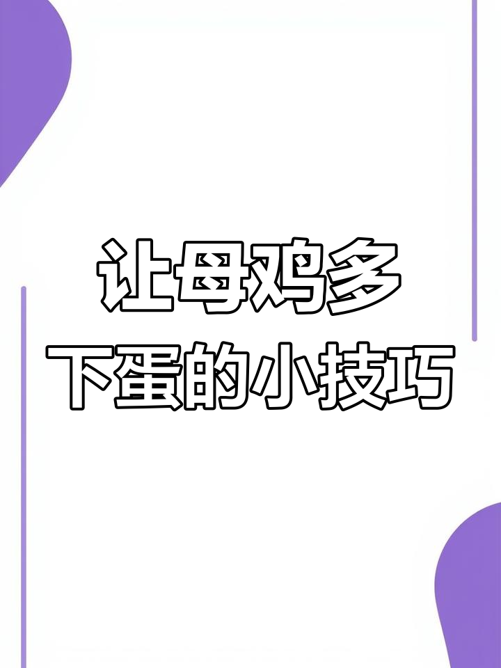 母鸡不产蛋?试试这些小妙招,轻松恢复高产量