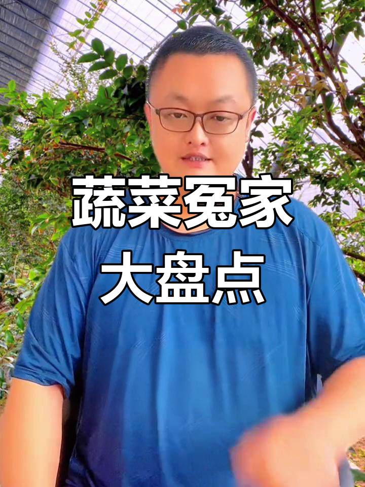 蔬菜种植有禁忌,这些组合不宜同行