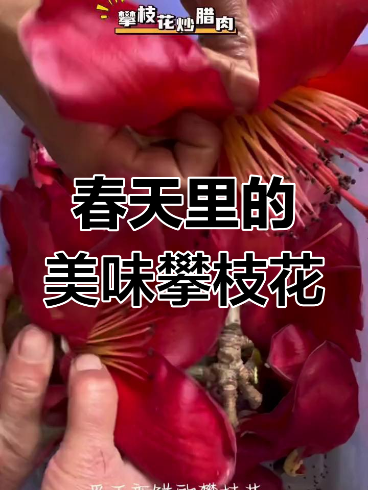 攀枝花春日限定美食:腊肉炒花香