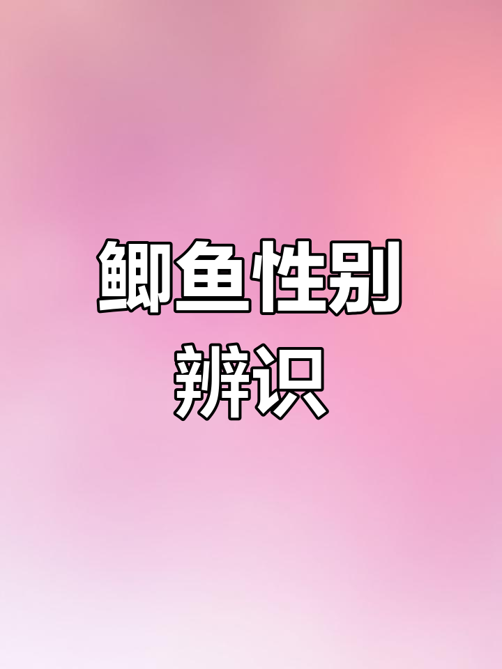 钓鱼时,识别雌雄鲫鱼很重要,产卵期应放归自然