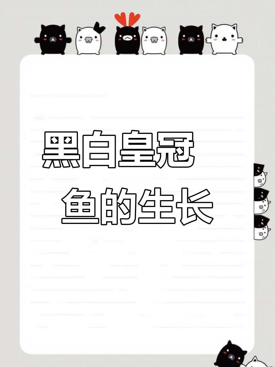 黑白皇冠魟鱼成长全纪录:从十公分到三十公分的蜕变