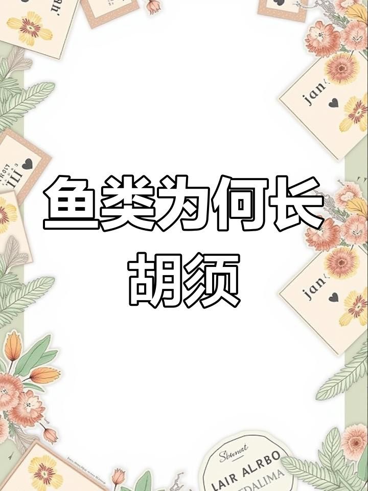 鱼类的触觉秘密:口须的作用