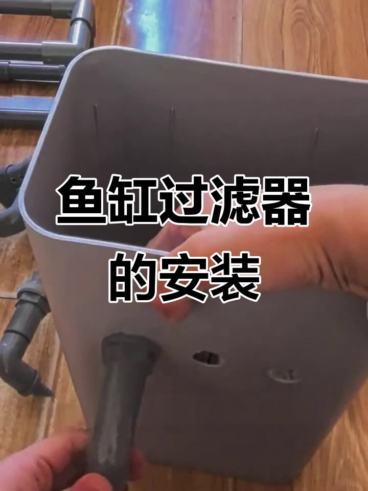 鱼缸过滤器安装全流程，轻松搞定每一步