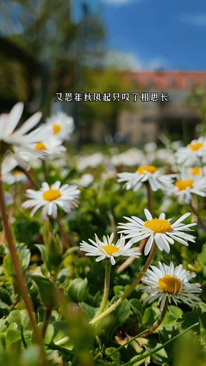 一起享受大自然的美 今日文案 愿所有的美好和期待都能如约而至 祝刷到的朋友开心快乐每一天