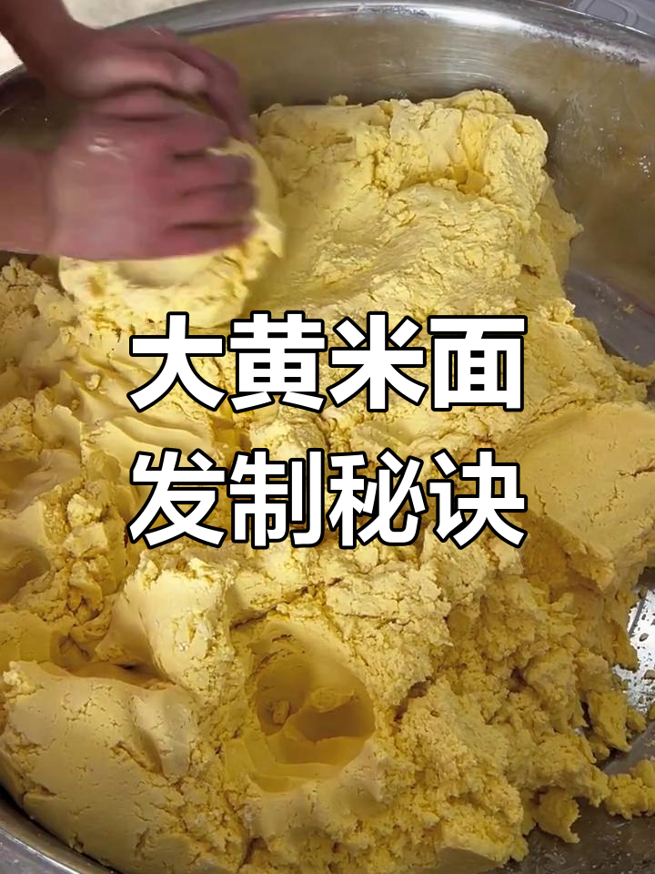 发大黄米面的技巧大揭秘,教你如何做出完美年糕饼和豆包