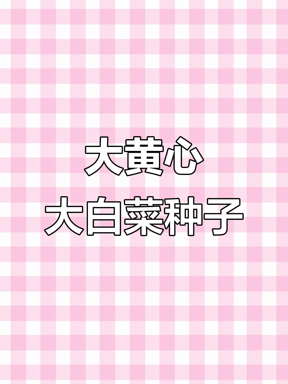 青岛金脉农业:进口大黄心大白菜,品种多样适合不同季节种植