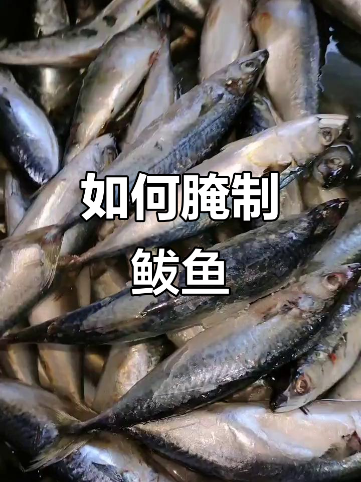 新鲜鲅鱼腌制技巧,轻松去刺晾晒