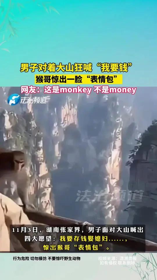 男子对着大山狂喊“我要钱” 猴哥惊出一脸“表情包” 网友:这是monkey 不是money