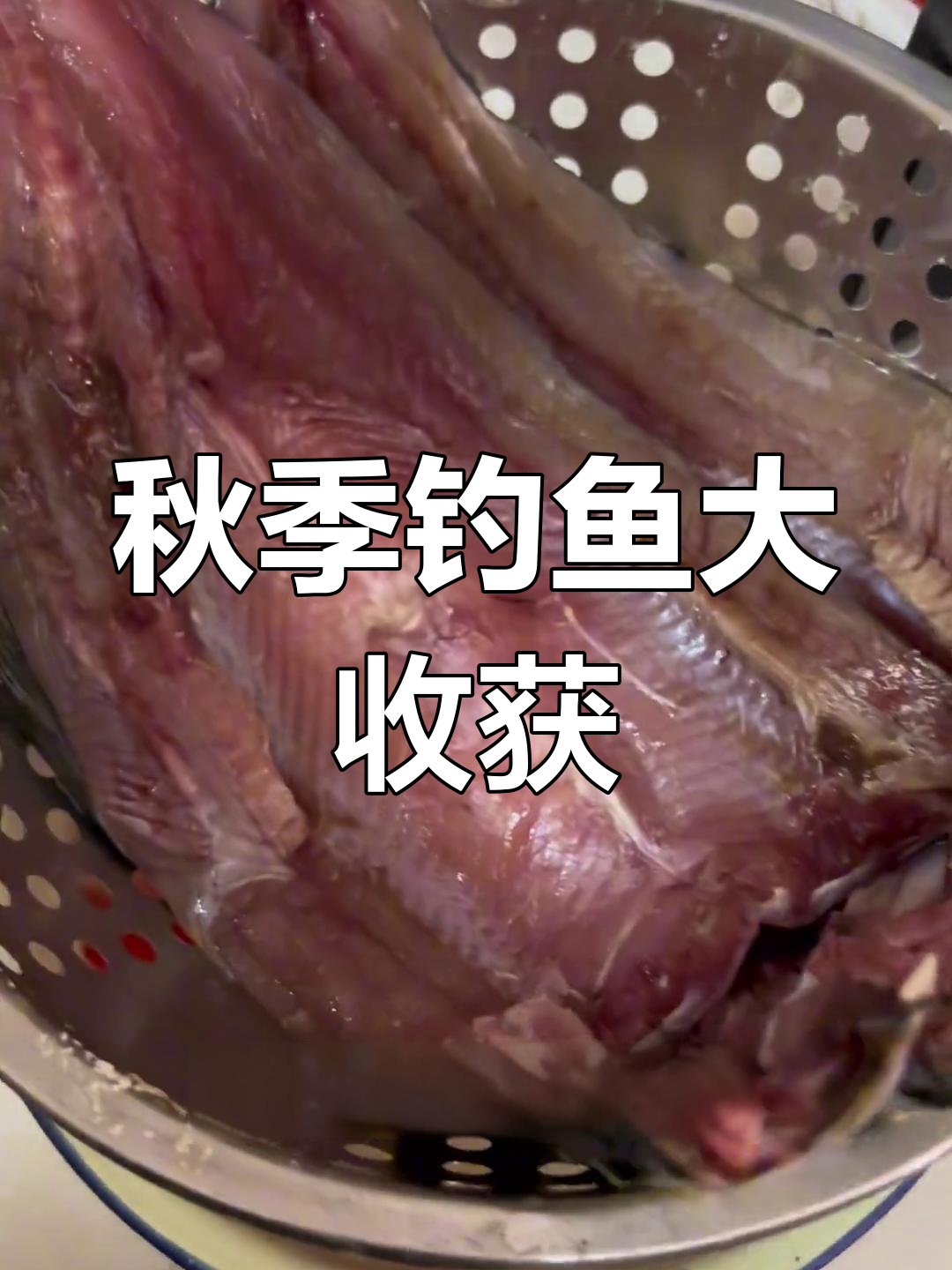 鳡鱼竟然好吃,连锅都舍不得扔