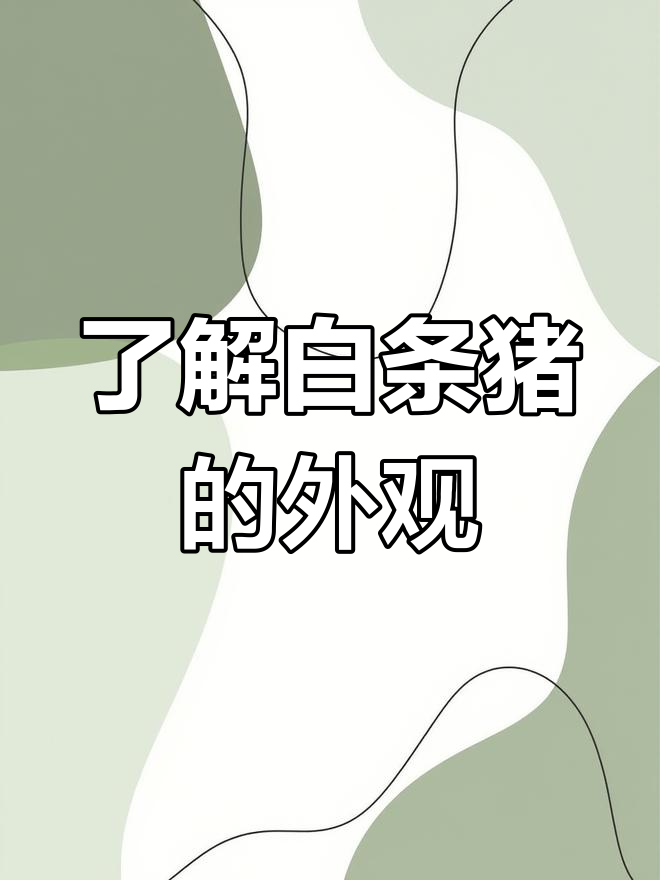 白条猪分割技巧与外观解析,如何挑选新鲜猪肉