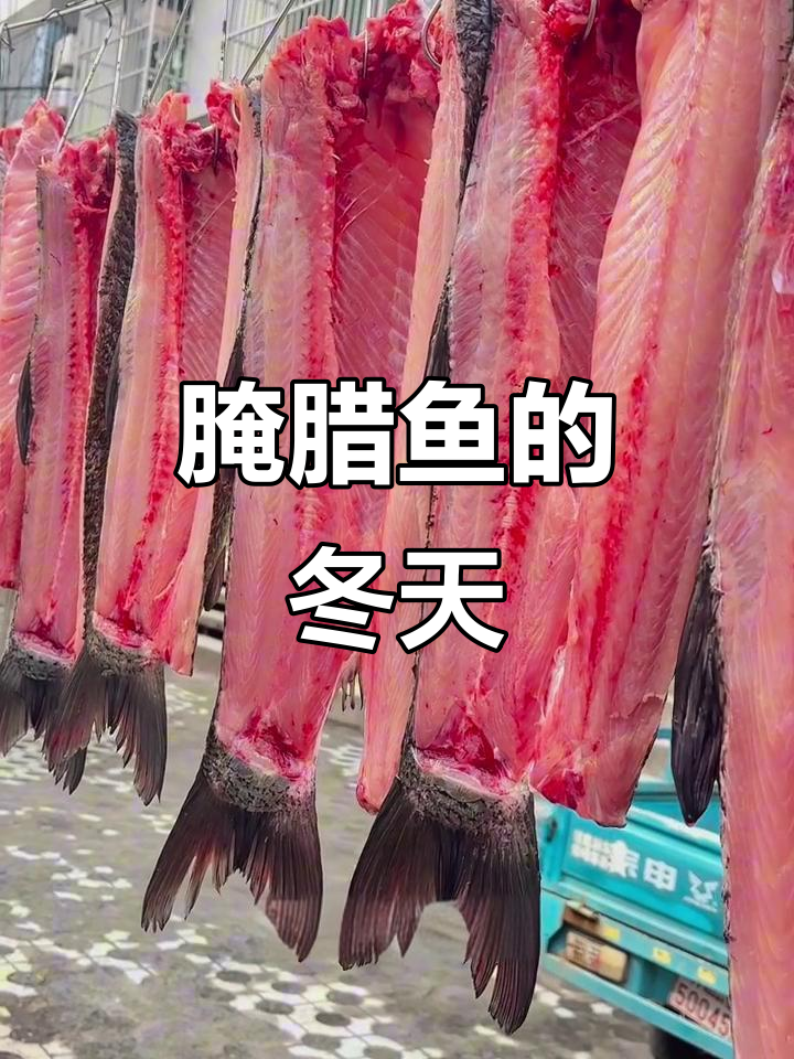 湖北冬季必备腌腊鱼,年节招待佳品,零食也超赞!
