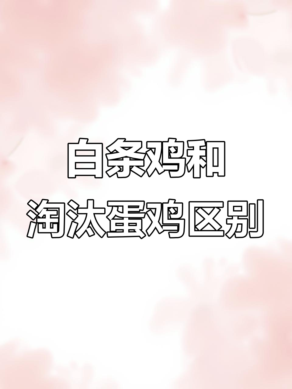 普通白条鸡与淘汰蛋鸡的区别,如何分辨它们的特点