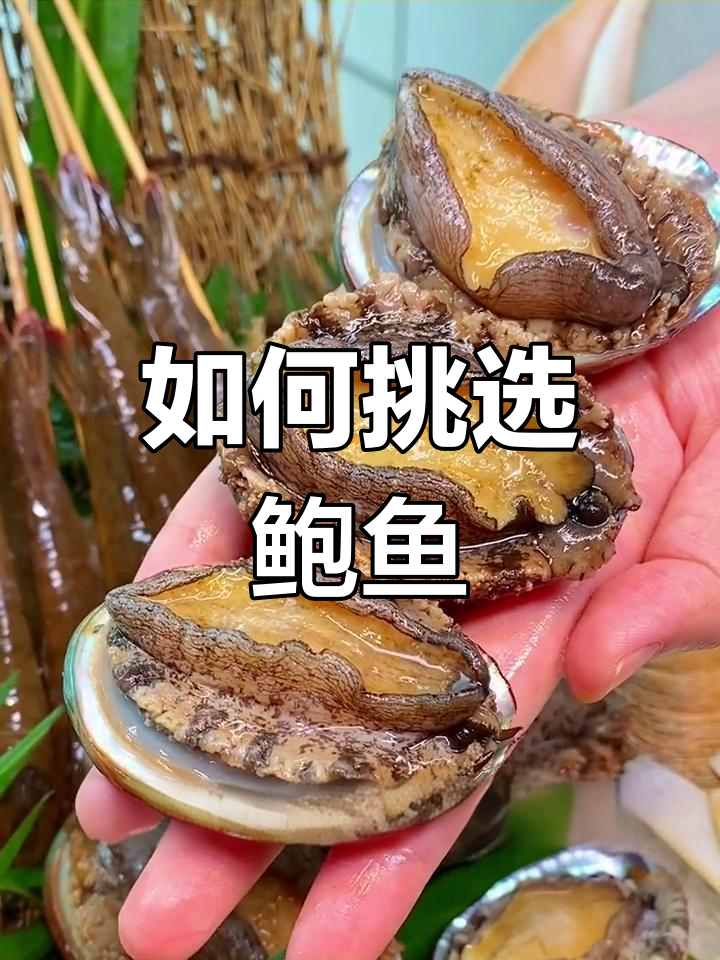 鲍鱼大小如何选择?