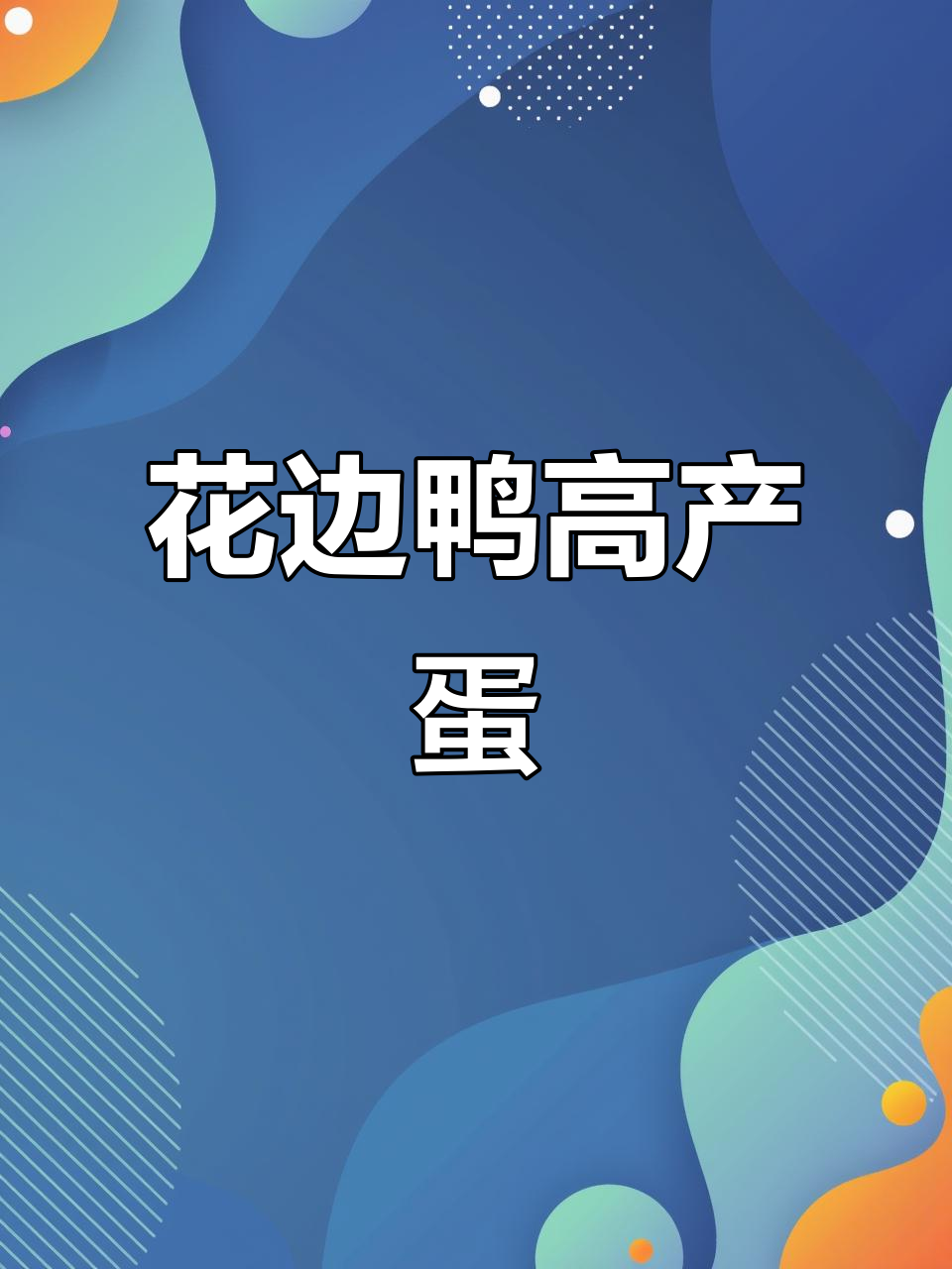 纯种花边鸭,两个月就能吃蛋,年产量超200斤