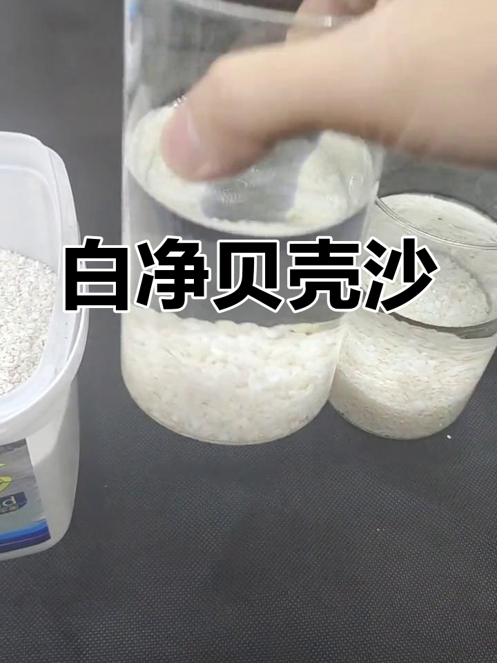 天然贝壳砂,水族造景必备