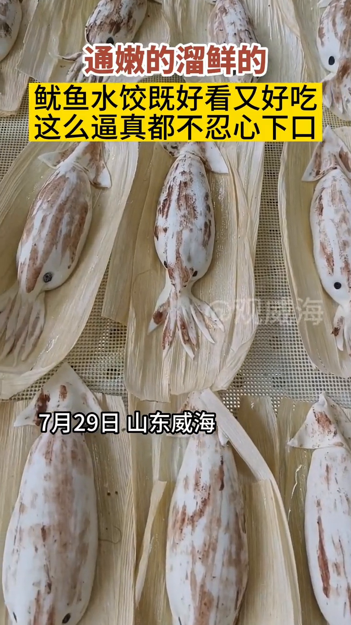 一包汤,溜溜鲜,大厨做出“真正的”鱿鱼饺子