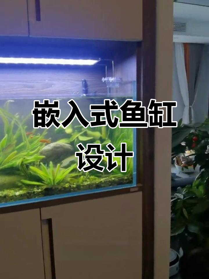嵌入式鱼缸与鞋柜完美结合，半年水草状态极佳