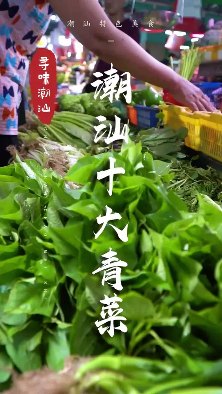 对于这些潮汕常见的青菜的名字,你能叫对几个呢?