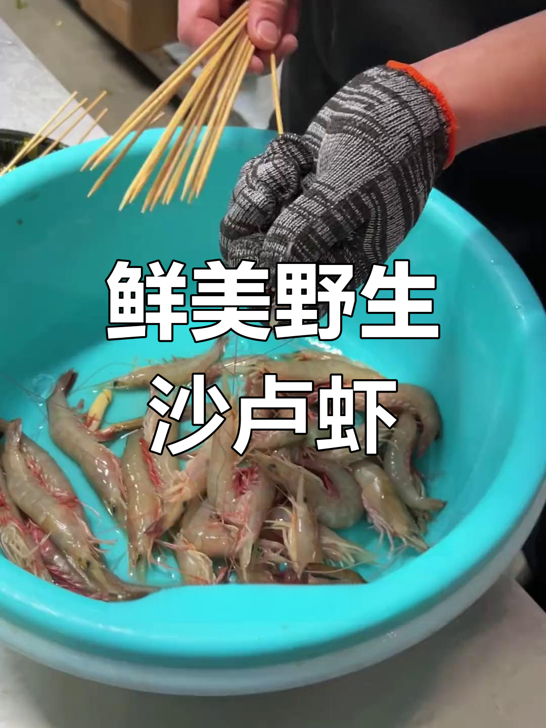 野生沙卢虾,新鲜美味不容错过!