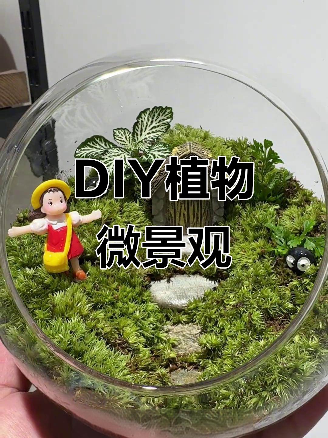 永安植物微景观DIY,打造你的专属小世界