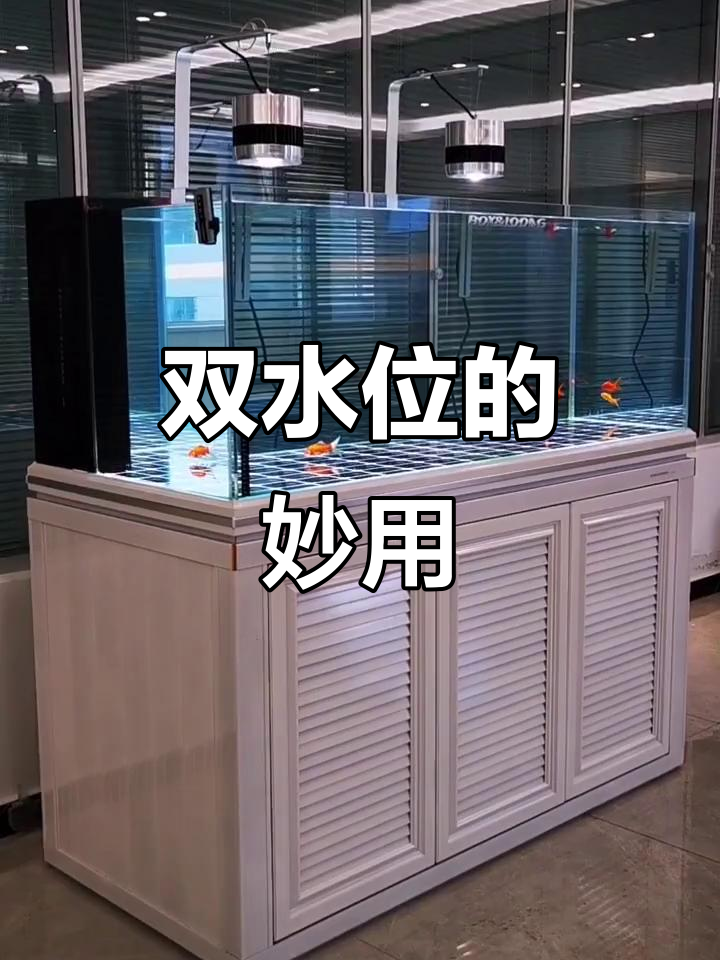 鱼缸双水位设计到底有多实用?这些功能你都知道吗