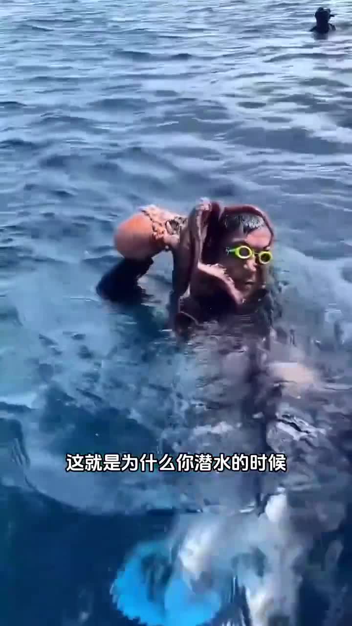为什么潜水时千万别招惹章鱼 知识科普
