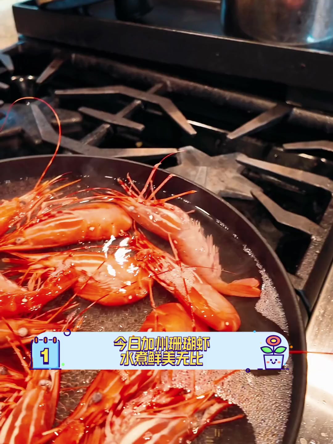 今日加州珊瑚虾,水煮鲜美无比