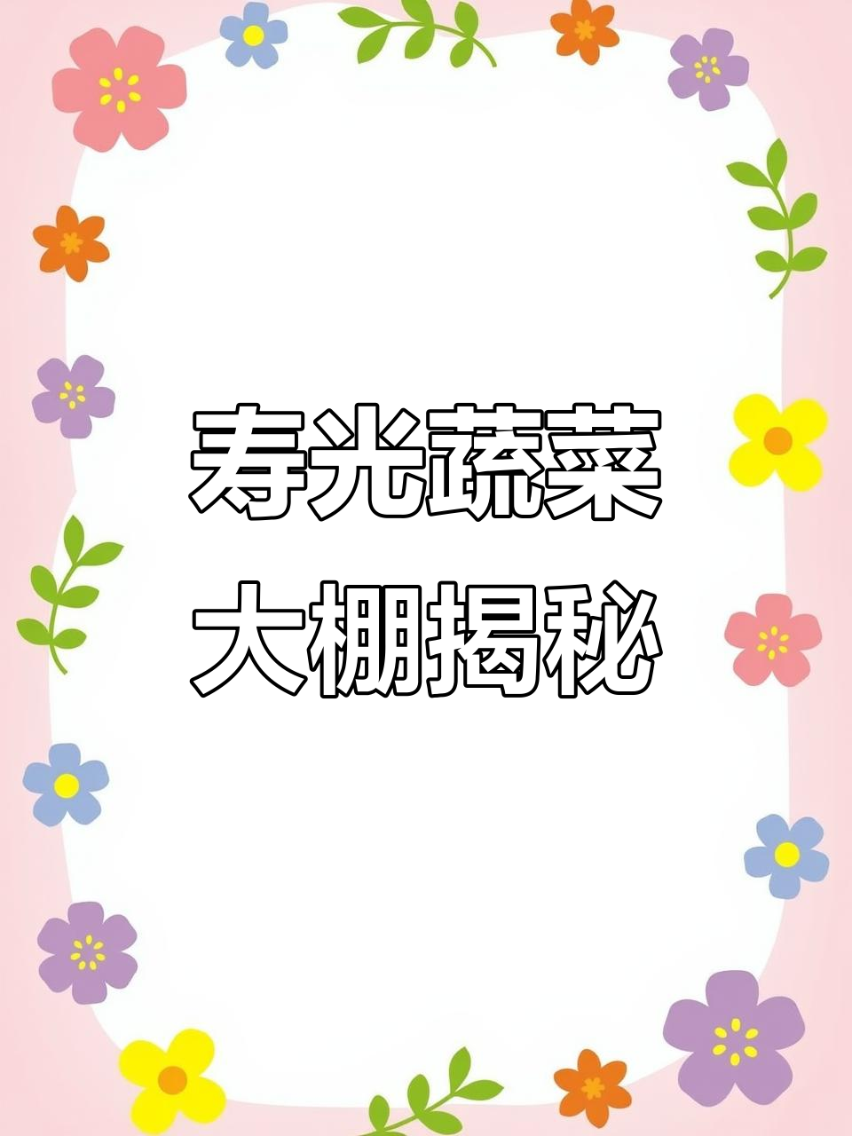 探访寿光蔬菜大棚，揭秘设施农业背后的秘密
