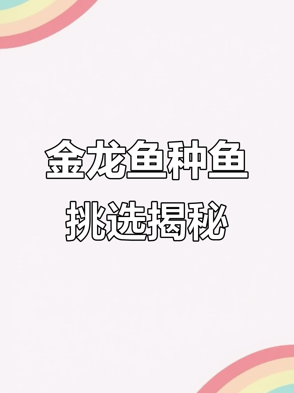 探秘马来西亚金龙鱼种鱼的挑选过程,如何选出优质亲本