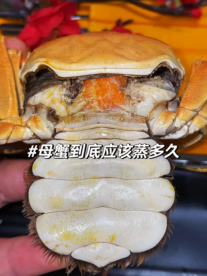 母螃蟹到底应该蒸多久?