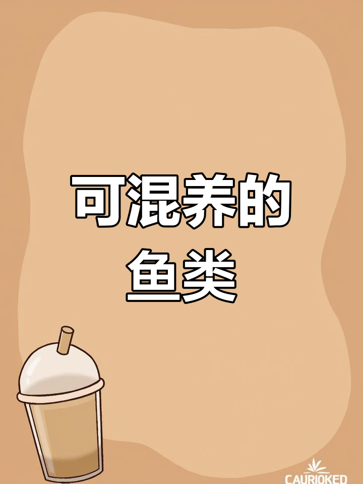 鱼缸混养指南:哪些鱼类能一起生活?