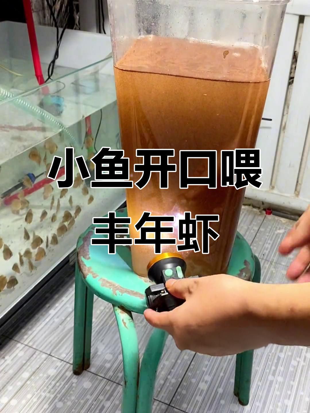 丰年虾孵化技巧大公开,小鱼苗吃得开心