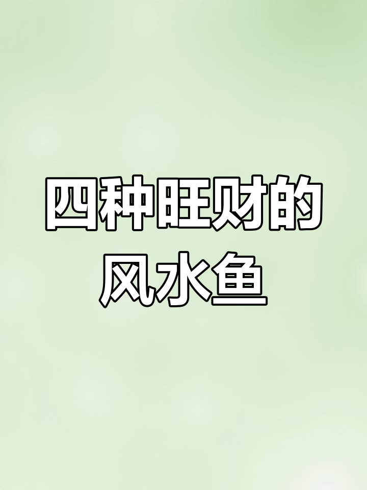 四大风水鱼,财运滚滚来!