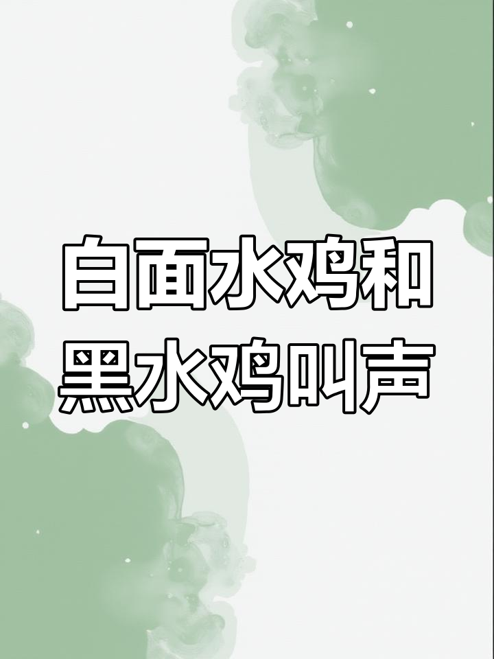 各种鸟类叫声大全,白面水鸡与黑水鸡的独特鸣声
