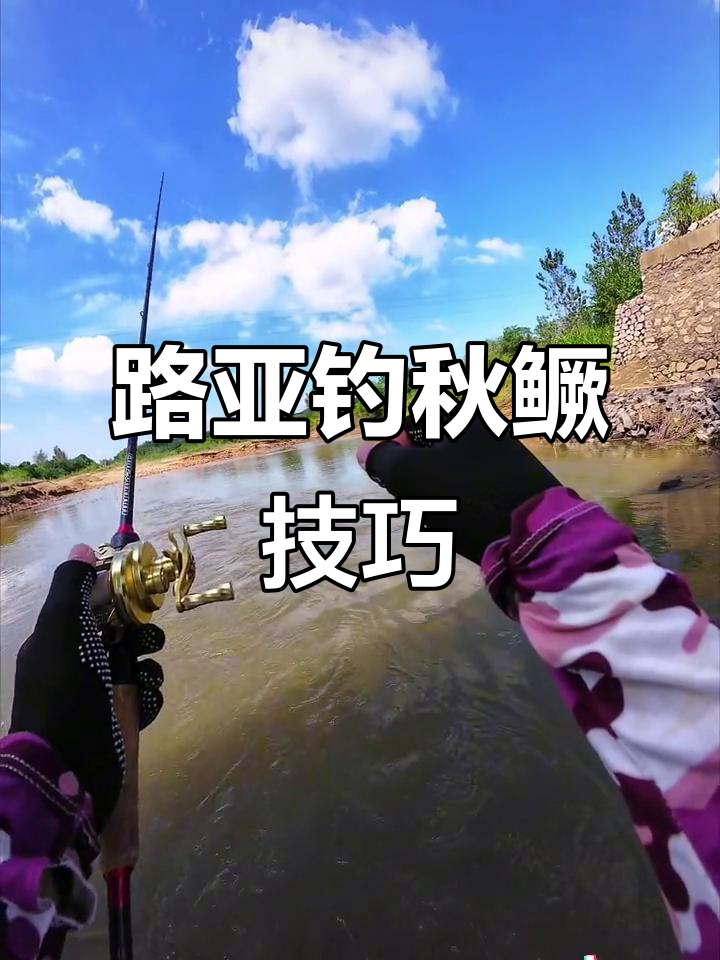流水中的秋鳜,掌握路亚技巧轻松捕捉