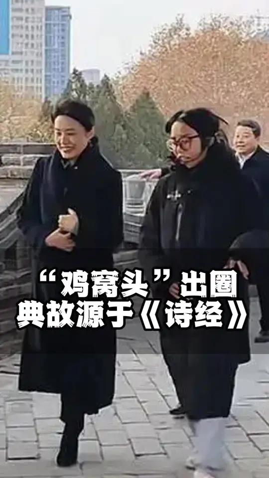 “鸡窝头”居然是个成语?它典源于《诗经》,可与邯郸有关