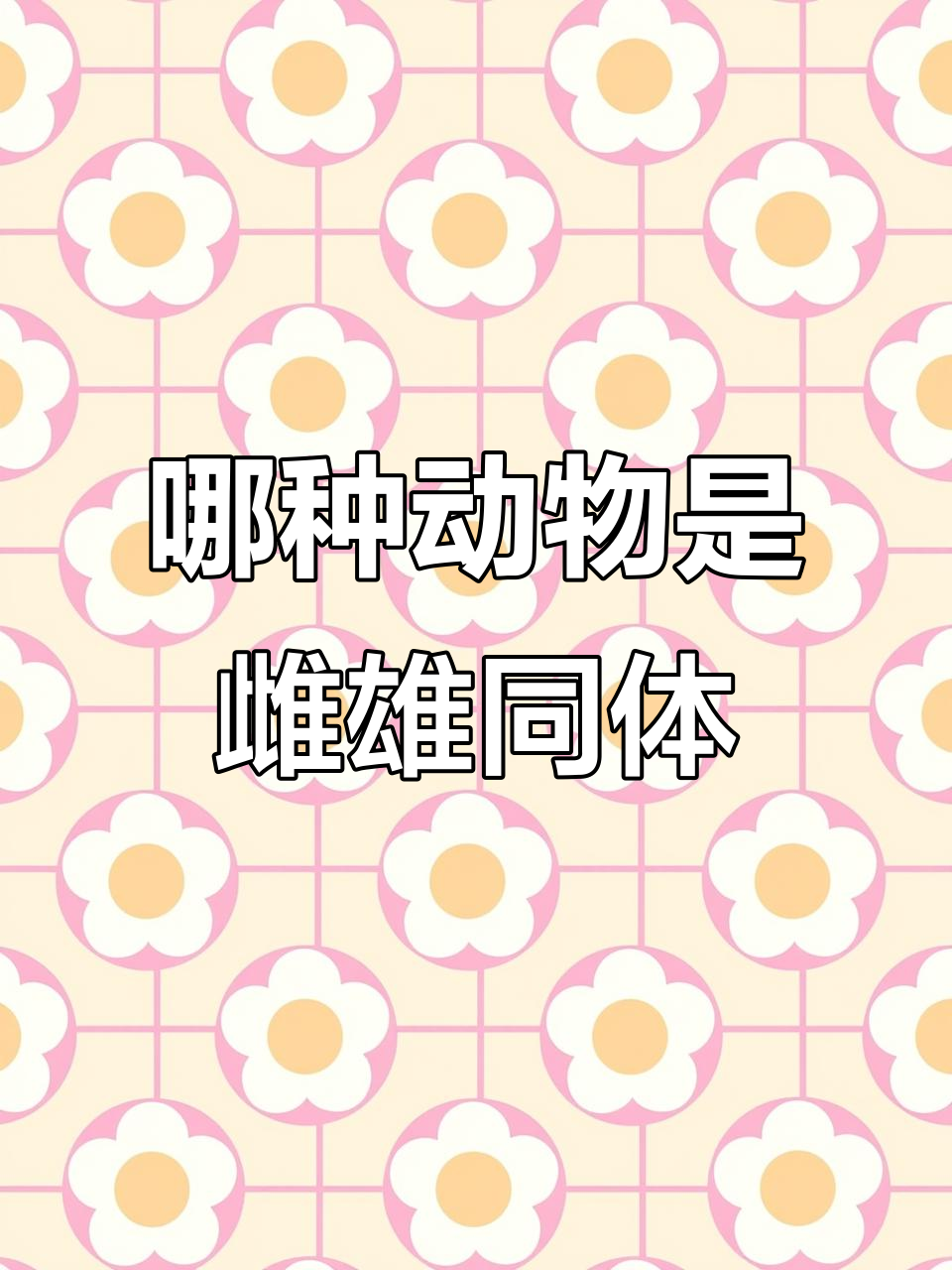 蚯蚓、娃娃鱼等动物中,哪些是雌雄同体?