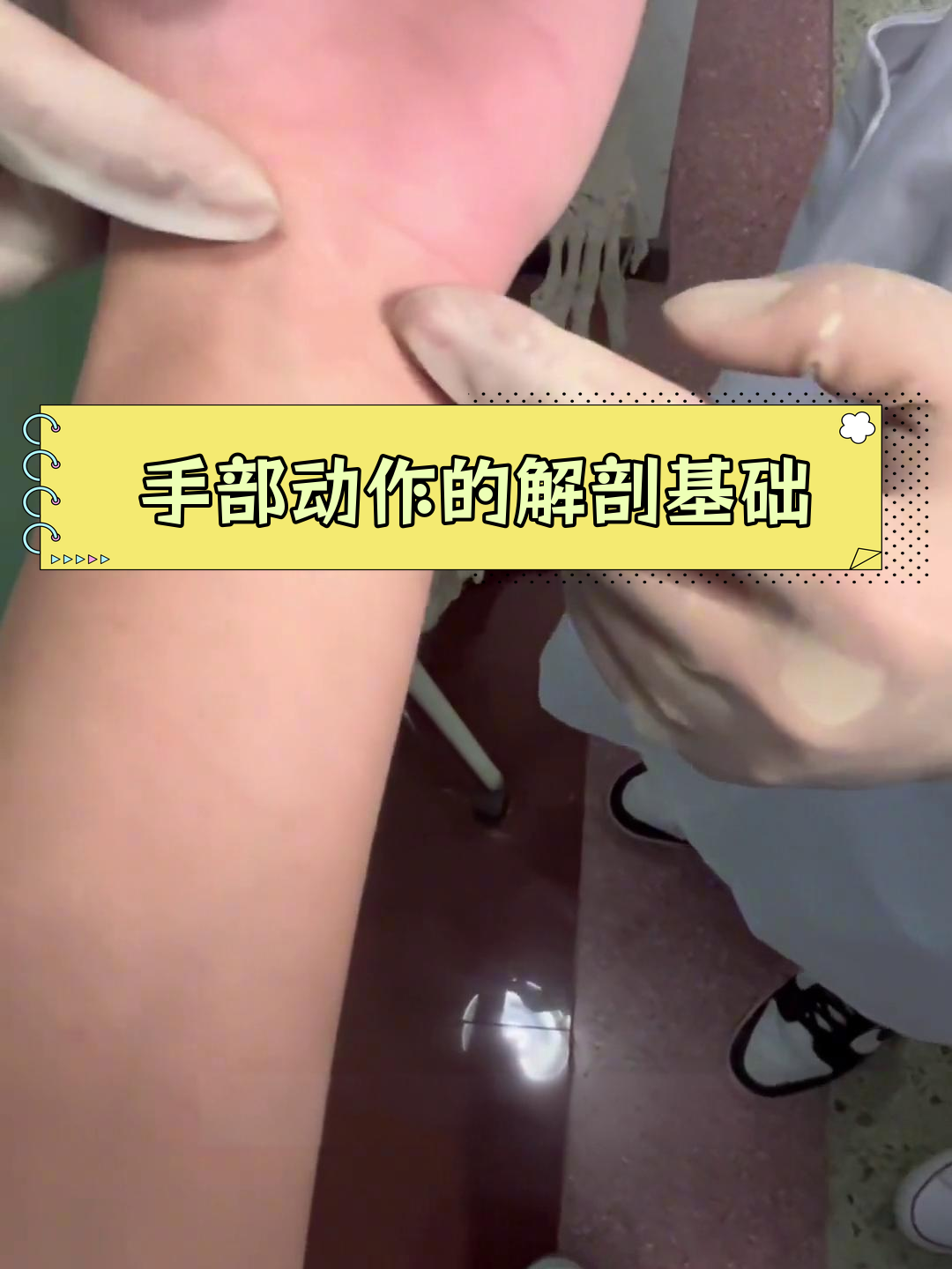 腕关节内外侧活动差异解析