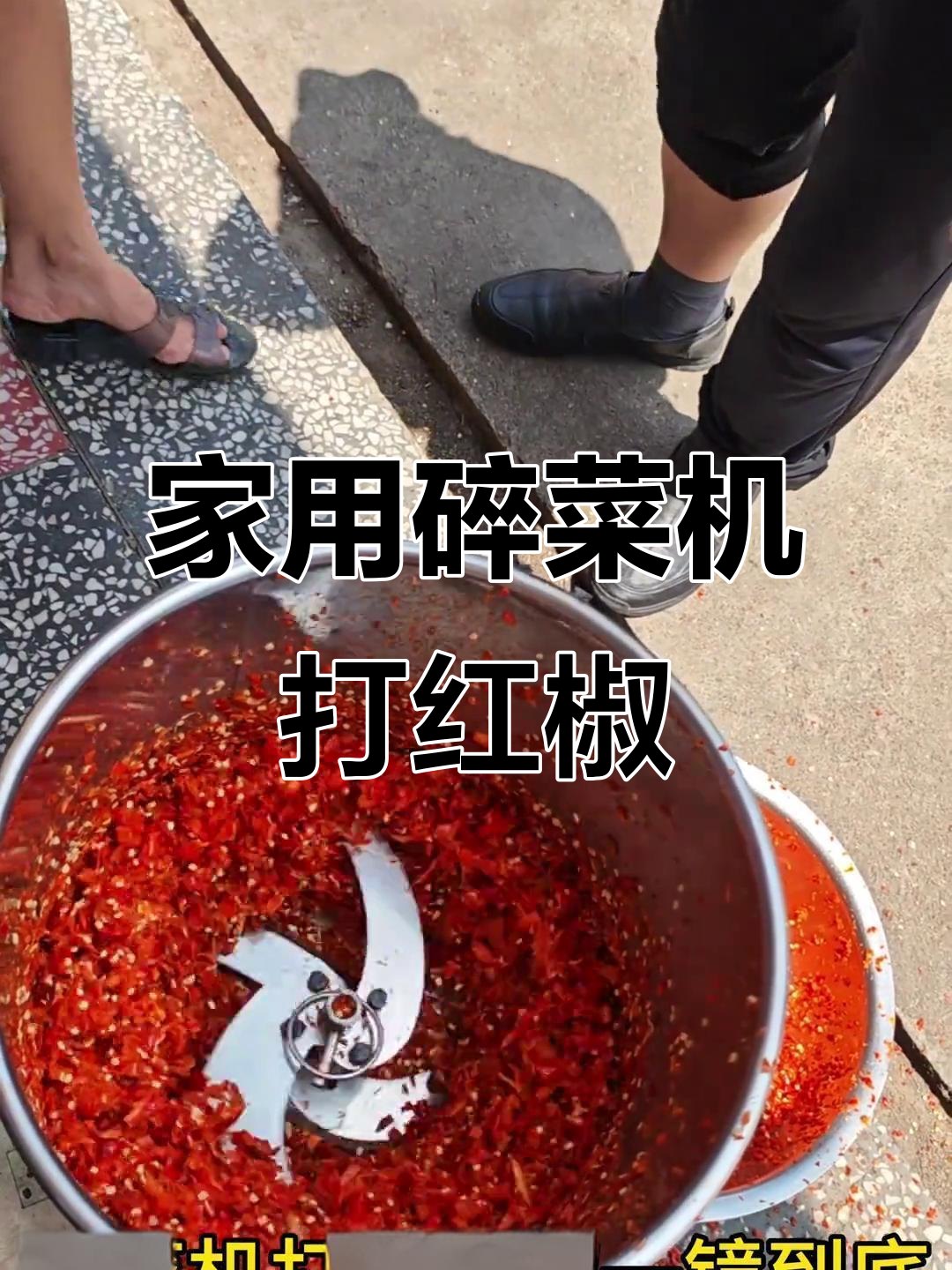 十秒钟搞定辣椒粉碎,家用饲料机轻松喂鸡