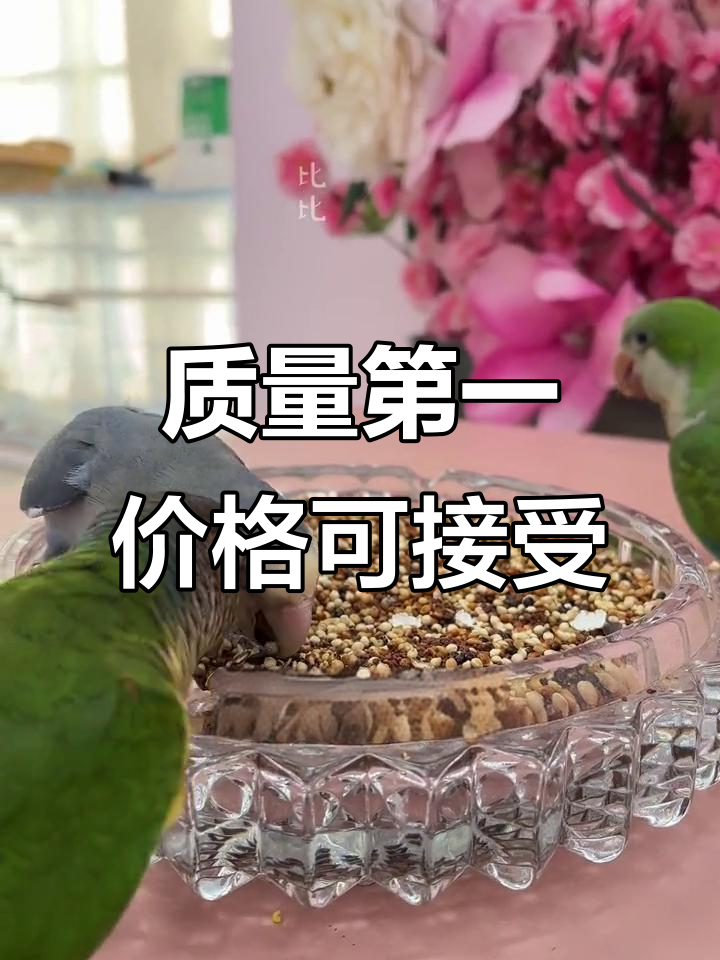 鹦鹉鸟粮选择:贵一点没关系,但质量必须好