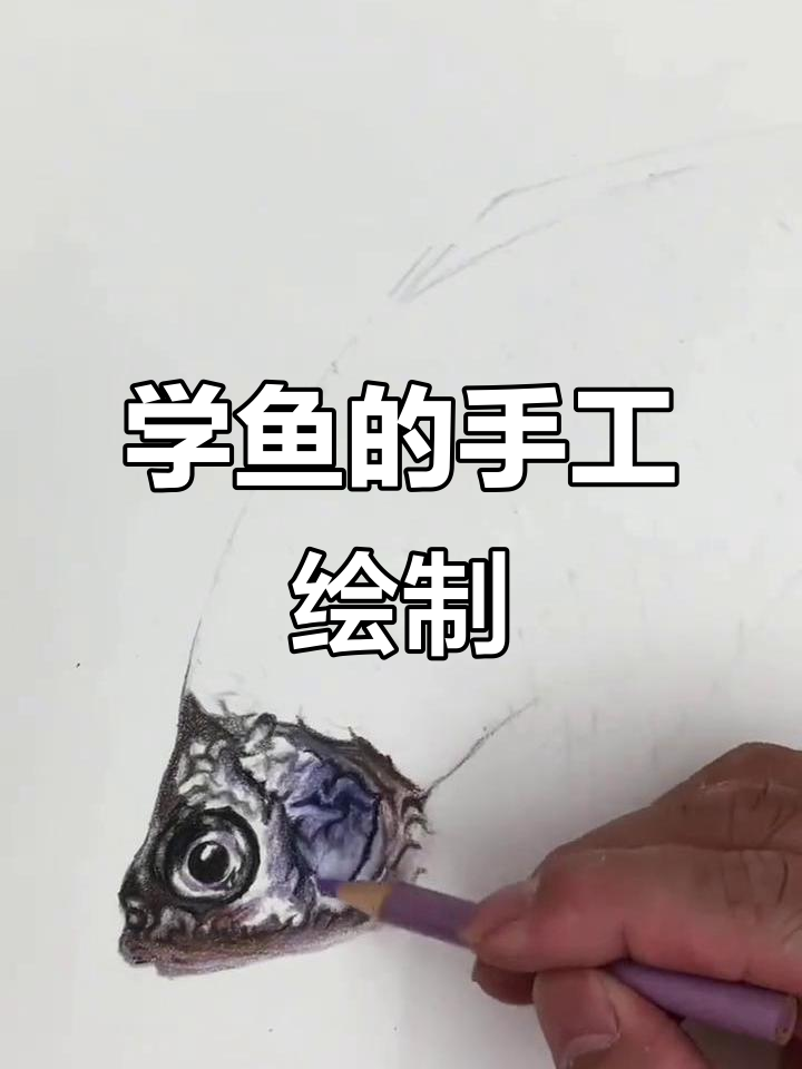 彩铅手绘:鱼的画法全步骤解析