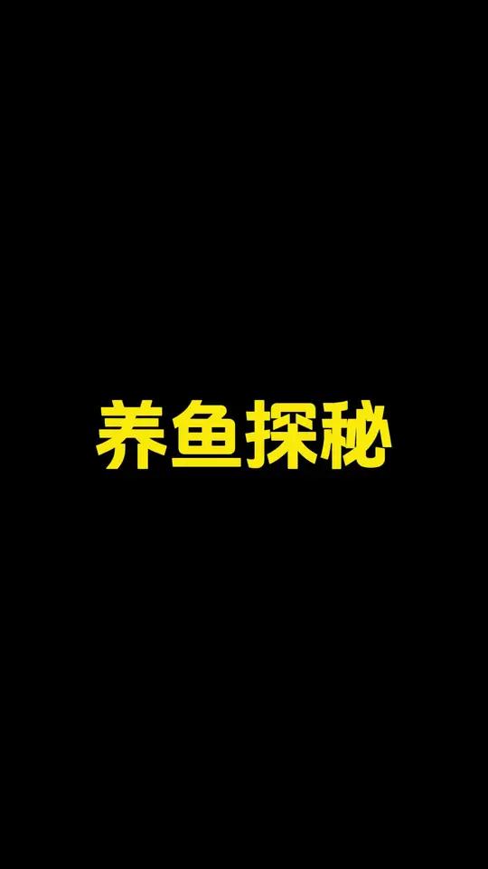 全国乃至地球，最大的观赏鱼场，咱们家的中小型鱼基本都来自这里