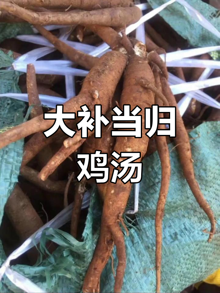 当归炖鸡,滋补养生